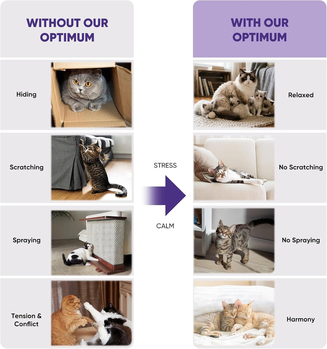 Cat Calming Diffuser with Advanced Pheromone Technology
