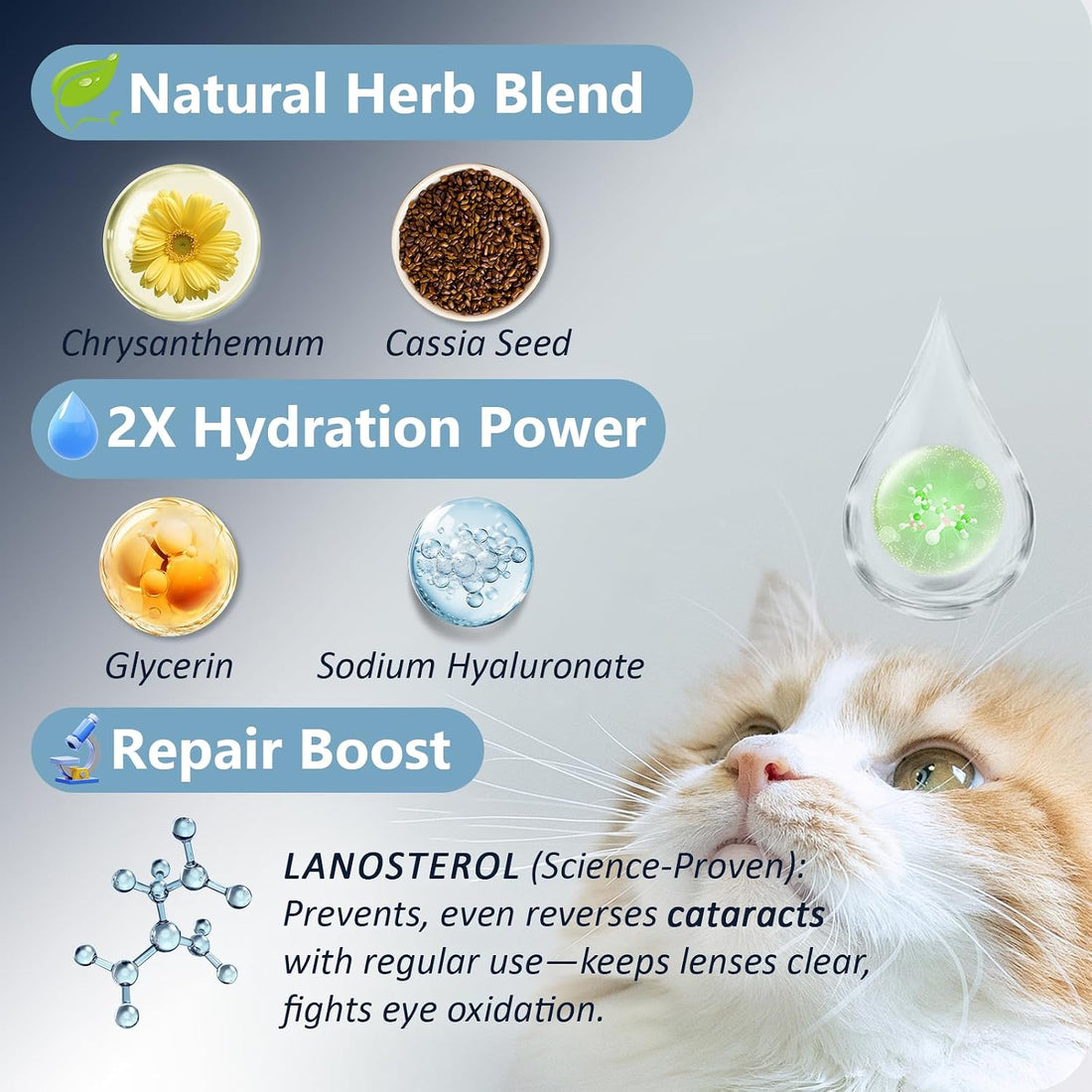 Dog & Cat Cataract Eye Drops & Infection Treatment