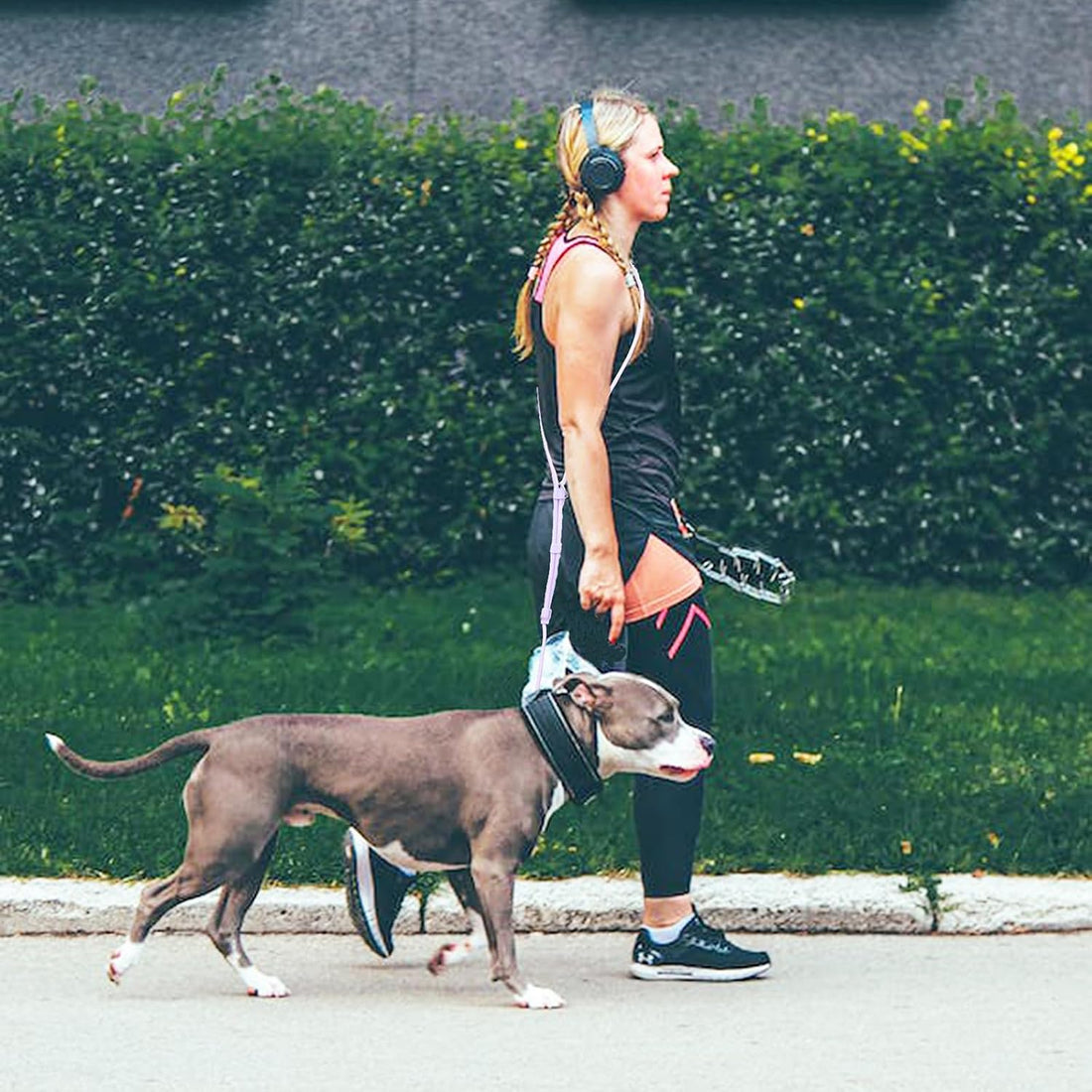9-in-1 Hands Free Dog Leash Crossbody/Waist Purple Small Dogs