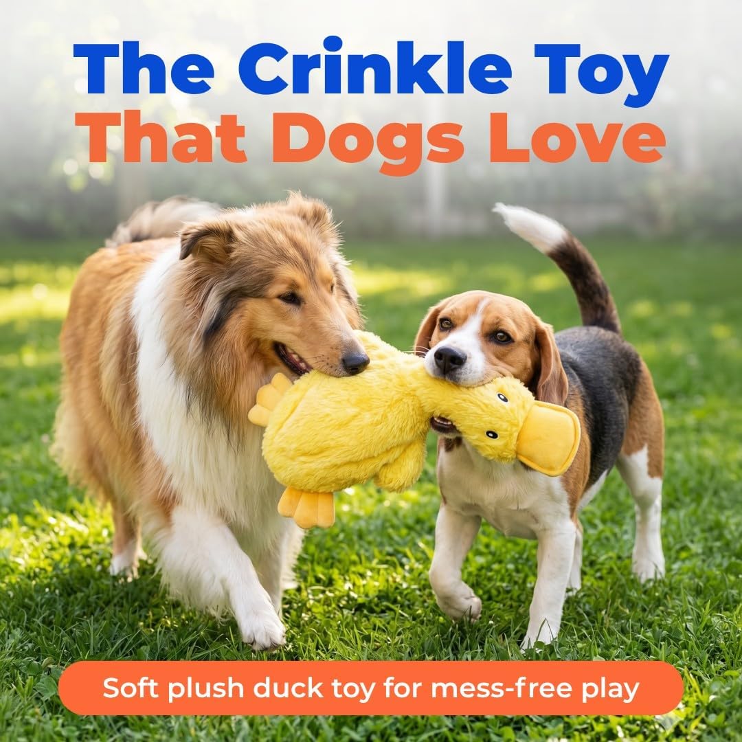 Best Pet Supplies Interactive Squeaky Dog Chew Toy