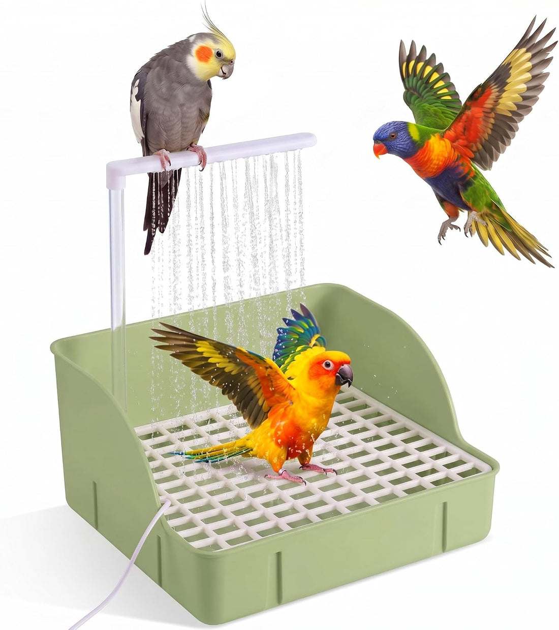 Pacify Automatic Bird Bath Large Bird Shower
