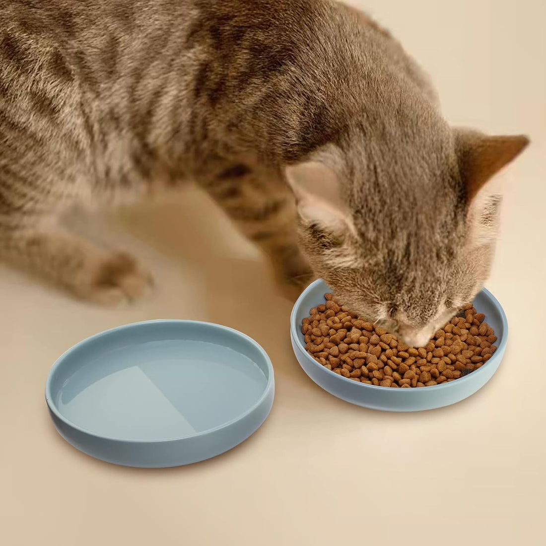 Ceramic Cat Bowls,Shallow Cat Dishes for Food and Water