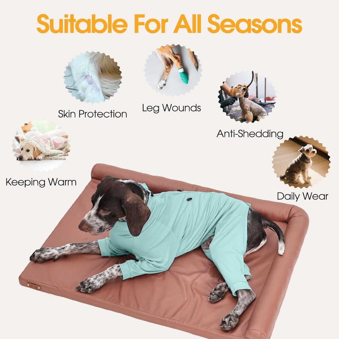 LeleTail Recovery Suit for Small Medium Large Dogs