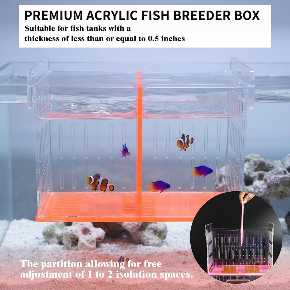 Fish Tank Divider & Breeder Box, Acrylic Aquarium Isolation Hatchery