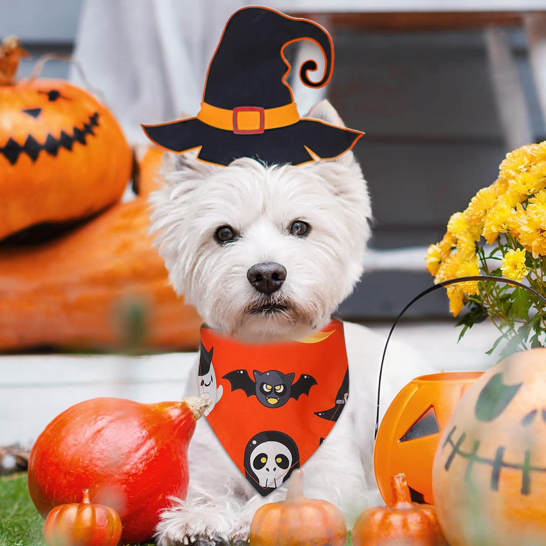 Sanwuta 60 Pcs Halloween Dog Bandanas Bulk Pet Bibs Scarf