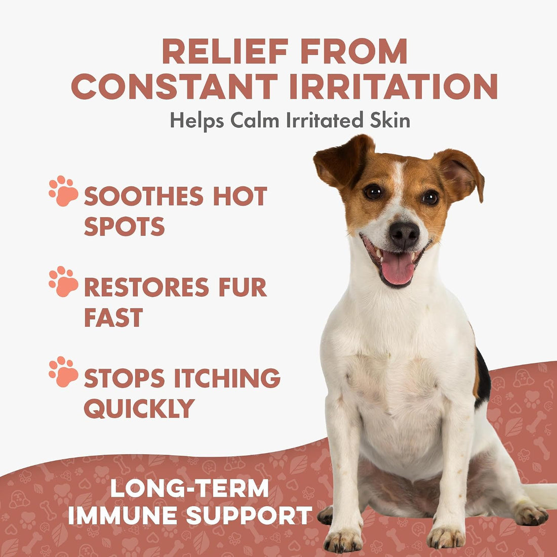BestLife4Pets Dog Mange Support and Natural Dog Itching Relief
