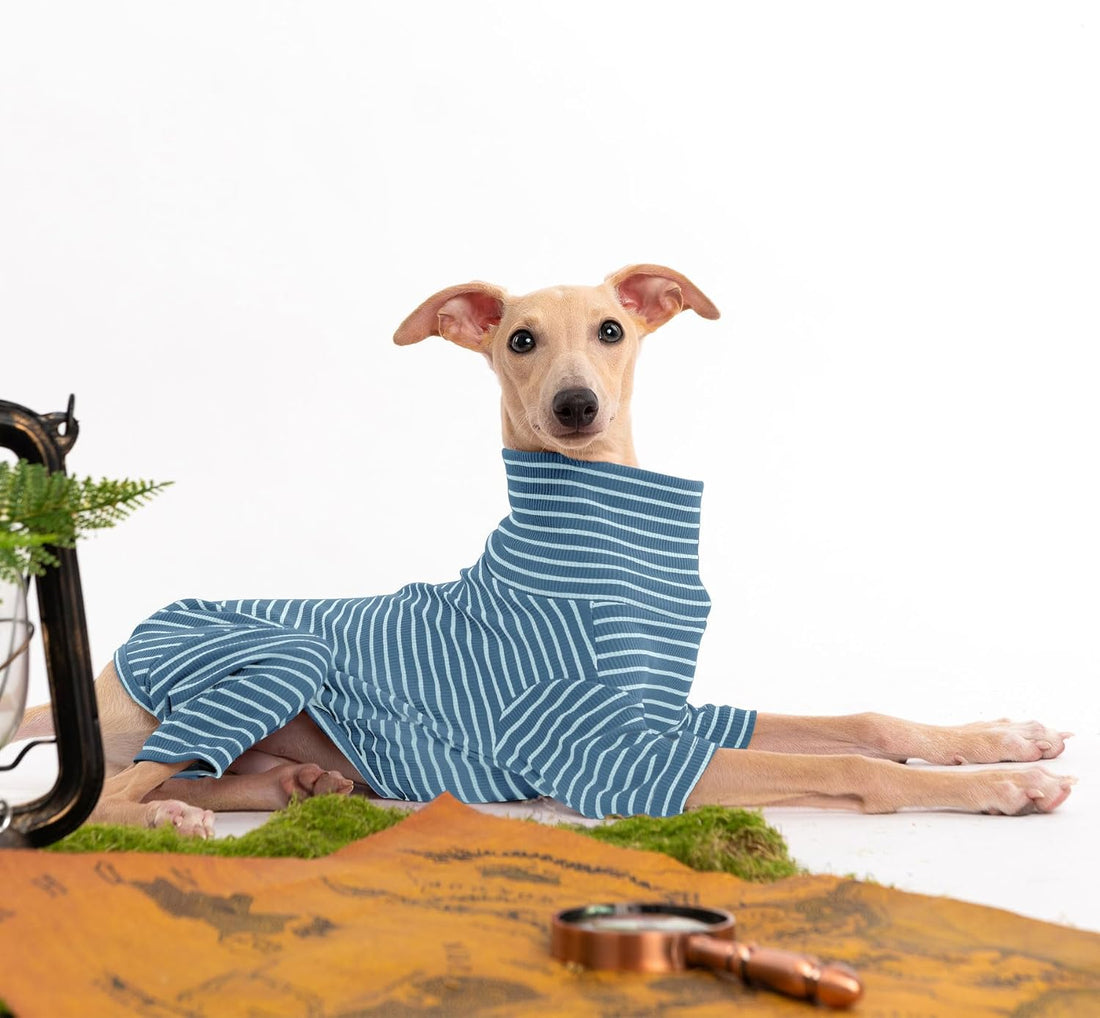 Dog Sweaters for Small Dogs Girls Boys