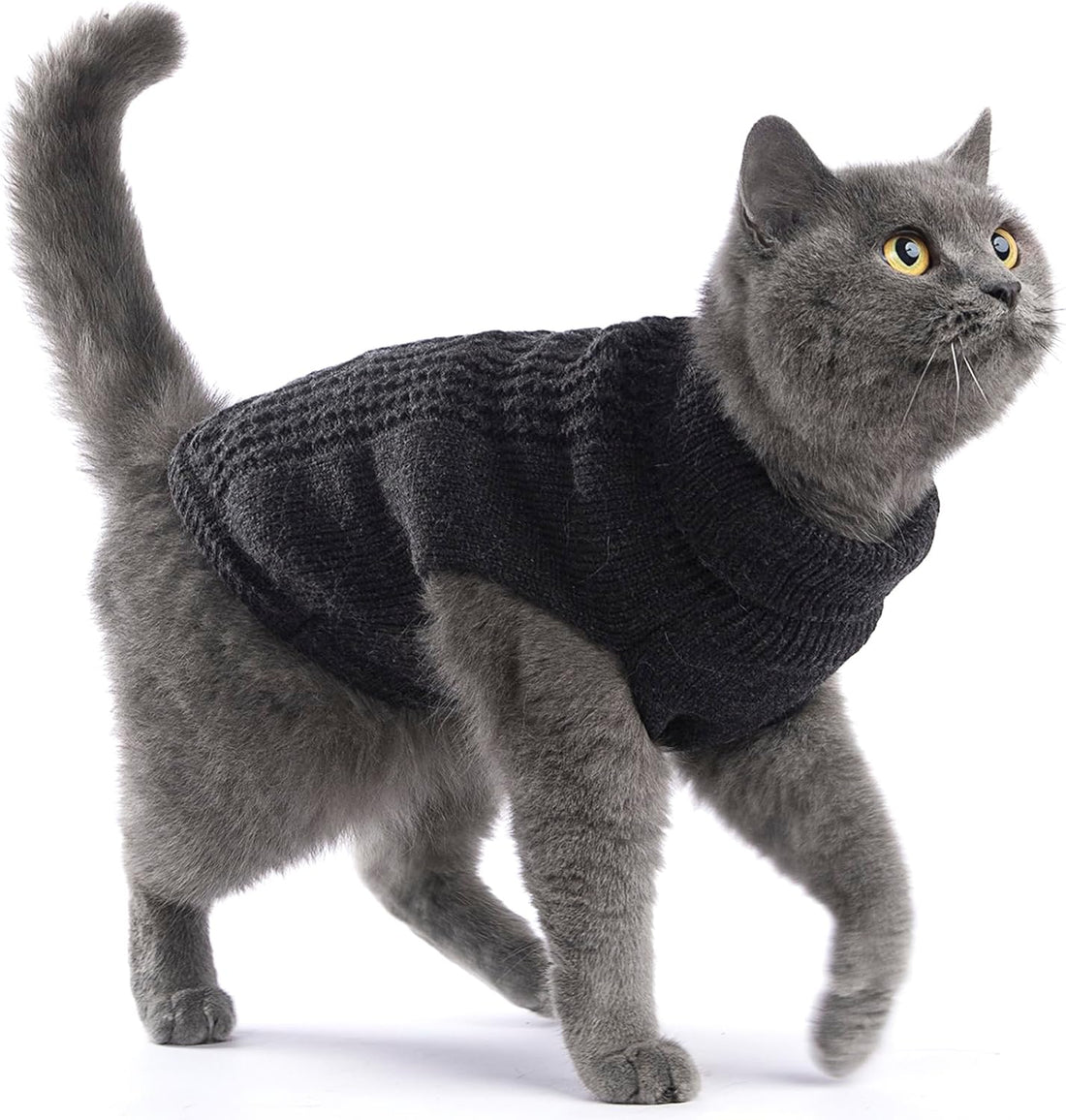 Cat Sweater Stretchy,19 Colors,6 Sizes,Snug Winter Cat/Dog Outfit