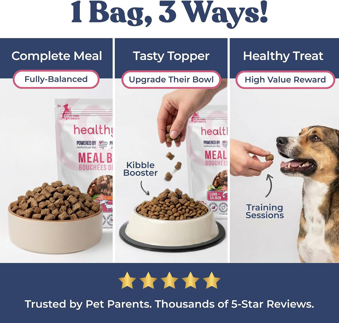 healthybud Raw Dog Food Freeze Dried Bites