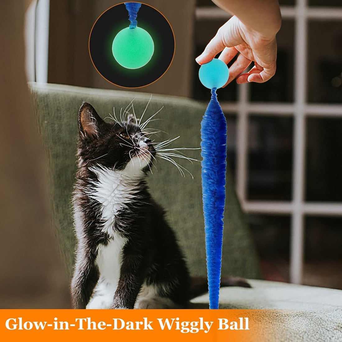 Bouncy Balls for Cats, Cat Worm Toy-5 Pack&2 Bells