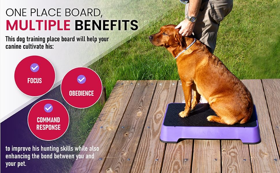 HUNTMARK Dog Training Place Board