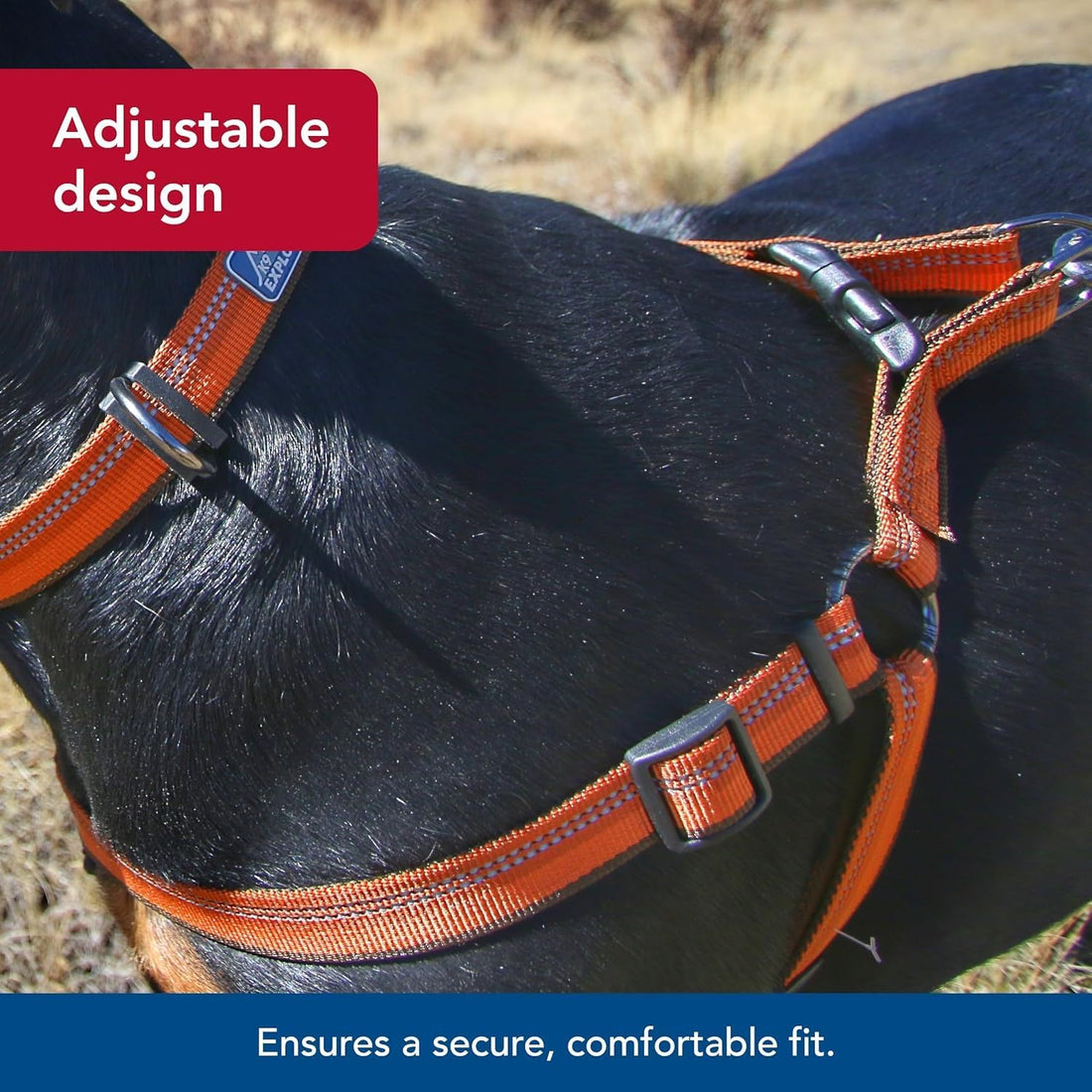 Coastal Pet K9 Explorer Reflective Adjustable Padded, 5/8" x 16" 24"