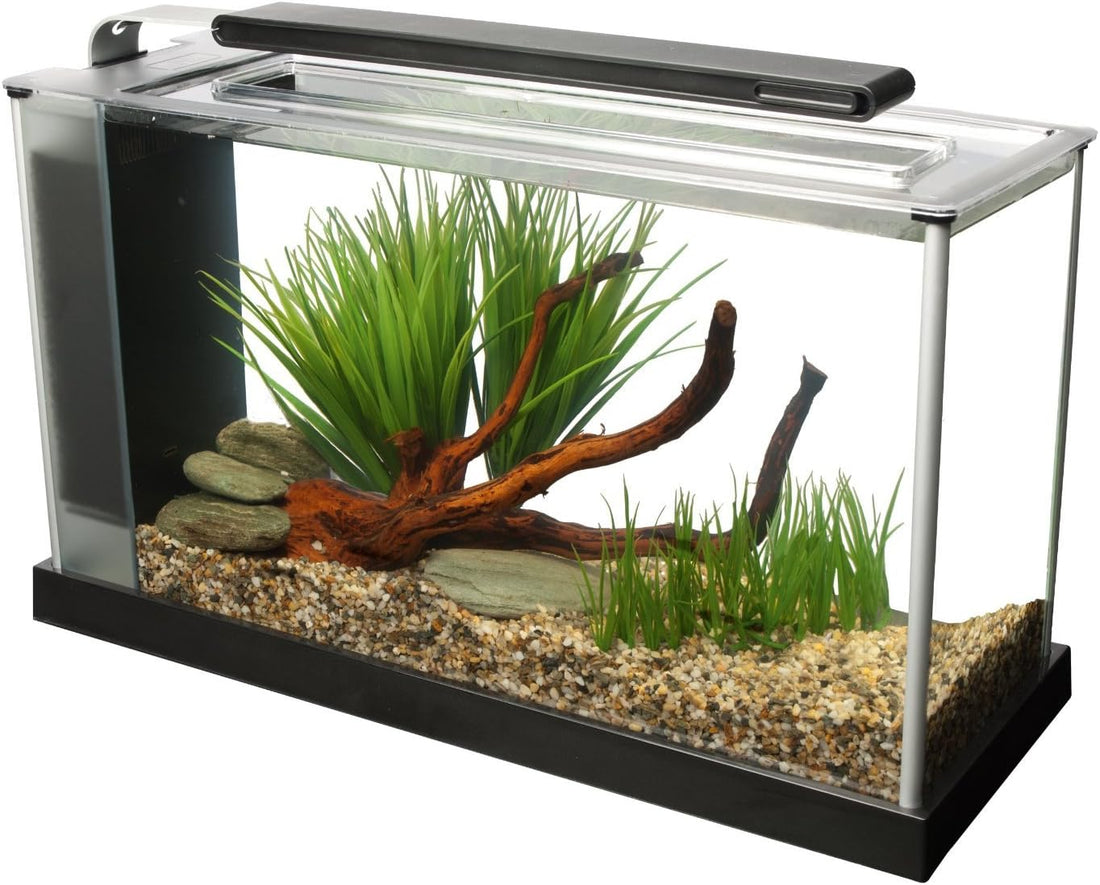 Fluval SPEC Aquarium Kit, 5-Gallon