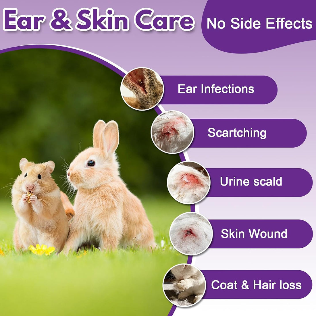 Topical Ear Infection Solution for Rabbits, Guinea Pigs & Exotics