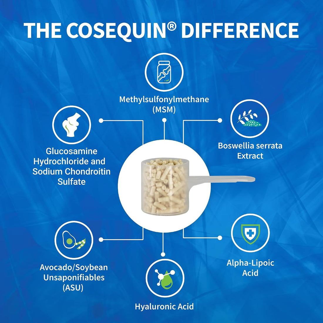 Nutramax Cosequin ASU Plus Joint Supplement for Horses, Powder, 1050g