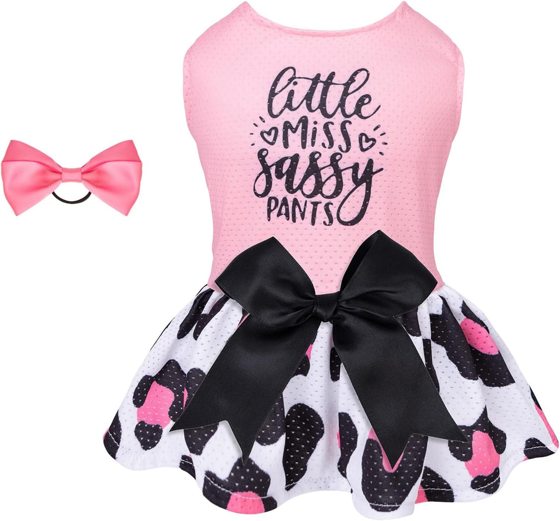 CuteBone Dog Mesh Dress Puppy Sundress Pet Outfit Summer Fashion