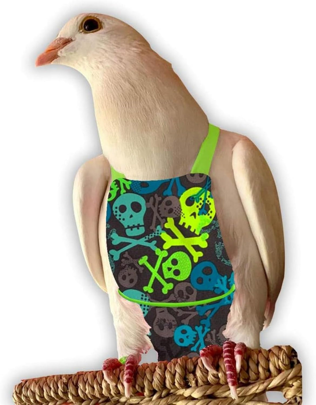 Bev's Bird Boutique Regular Flyper Adjustable Bird Diaper | Reusable