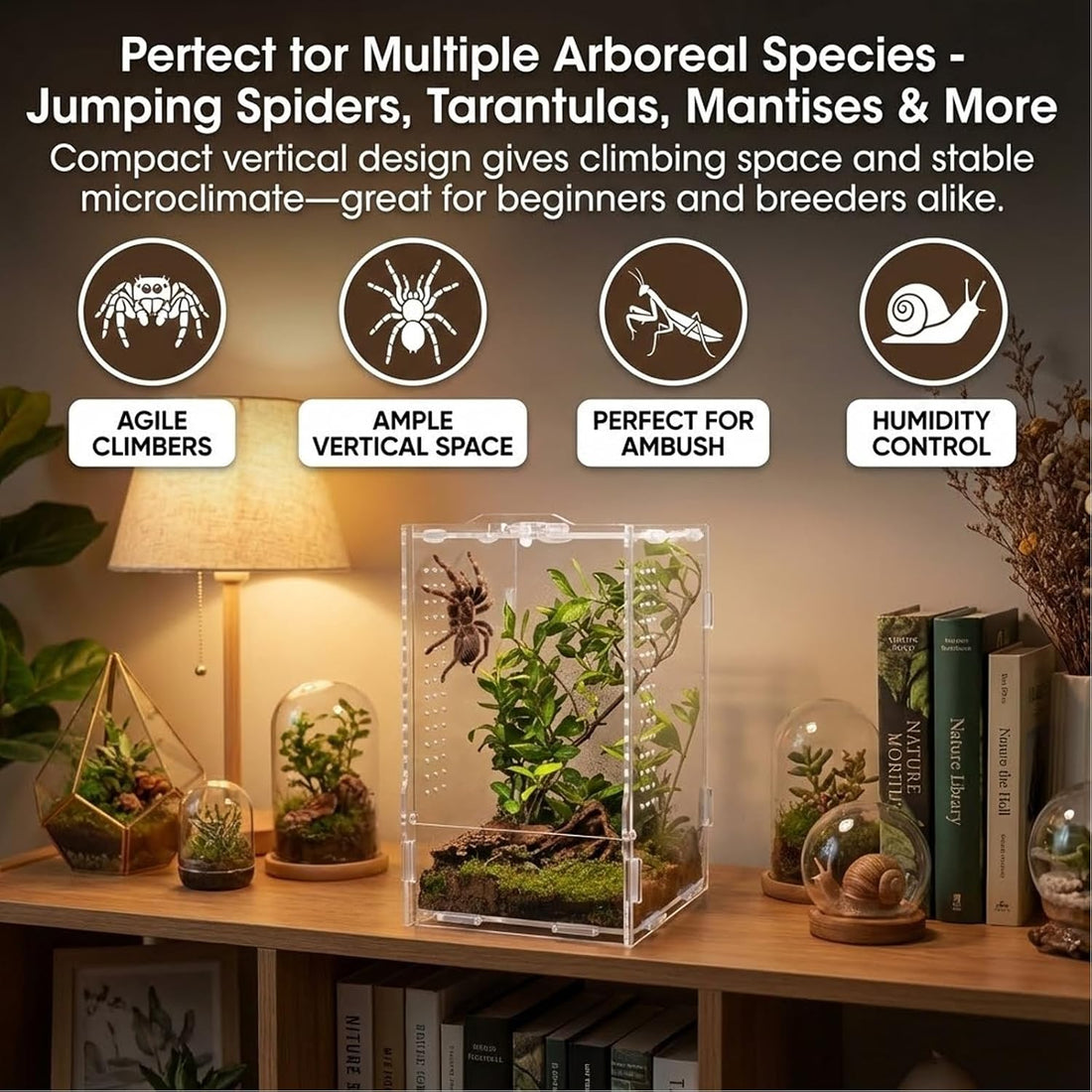 Acrylic Jumping Spider Enclosure: Arboreal Tarantula Enclosure