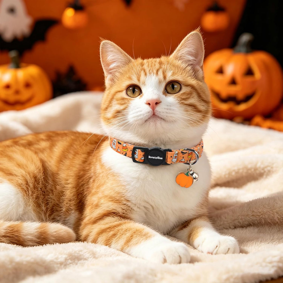 LIONET PAWS 2 Pack Breakaway Cat Collars