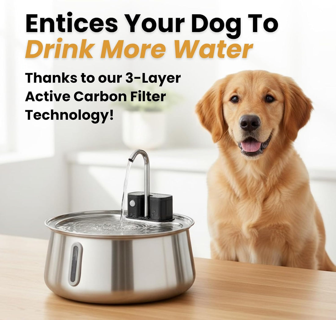 Wireless Dog Water Fountain, Large 4L (135oz)