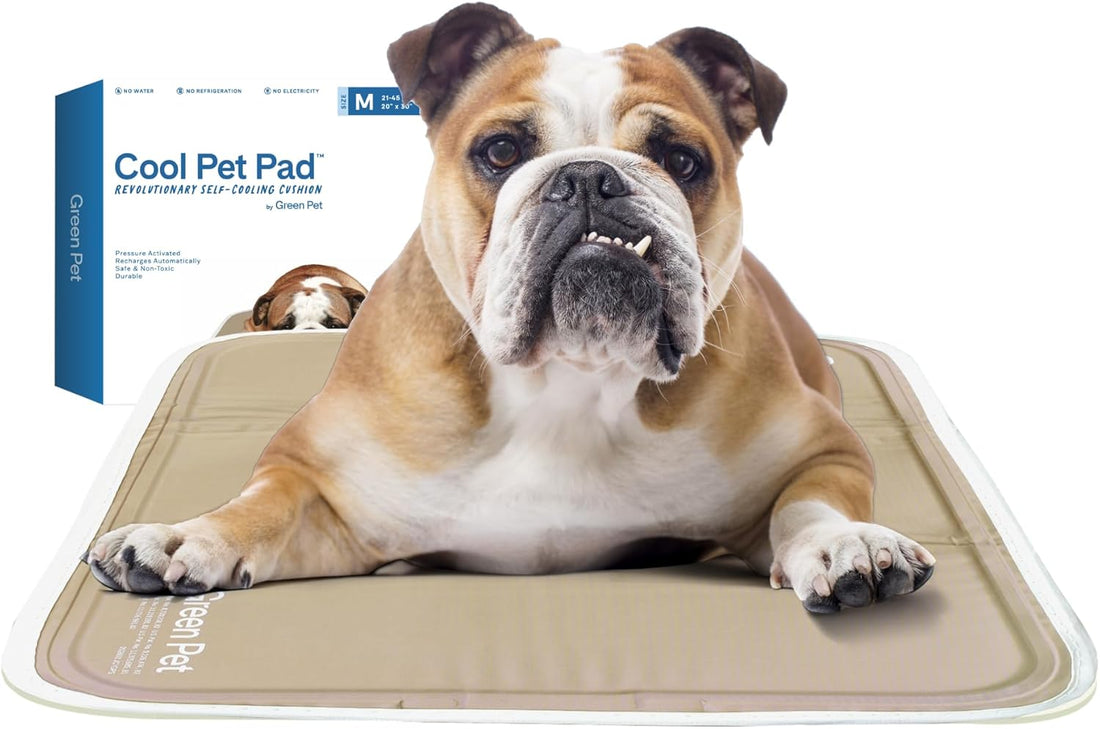 The Green Pet Shop Cool Pet Pad - Medium, Sage Grey - Self-Cooling