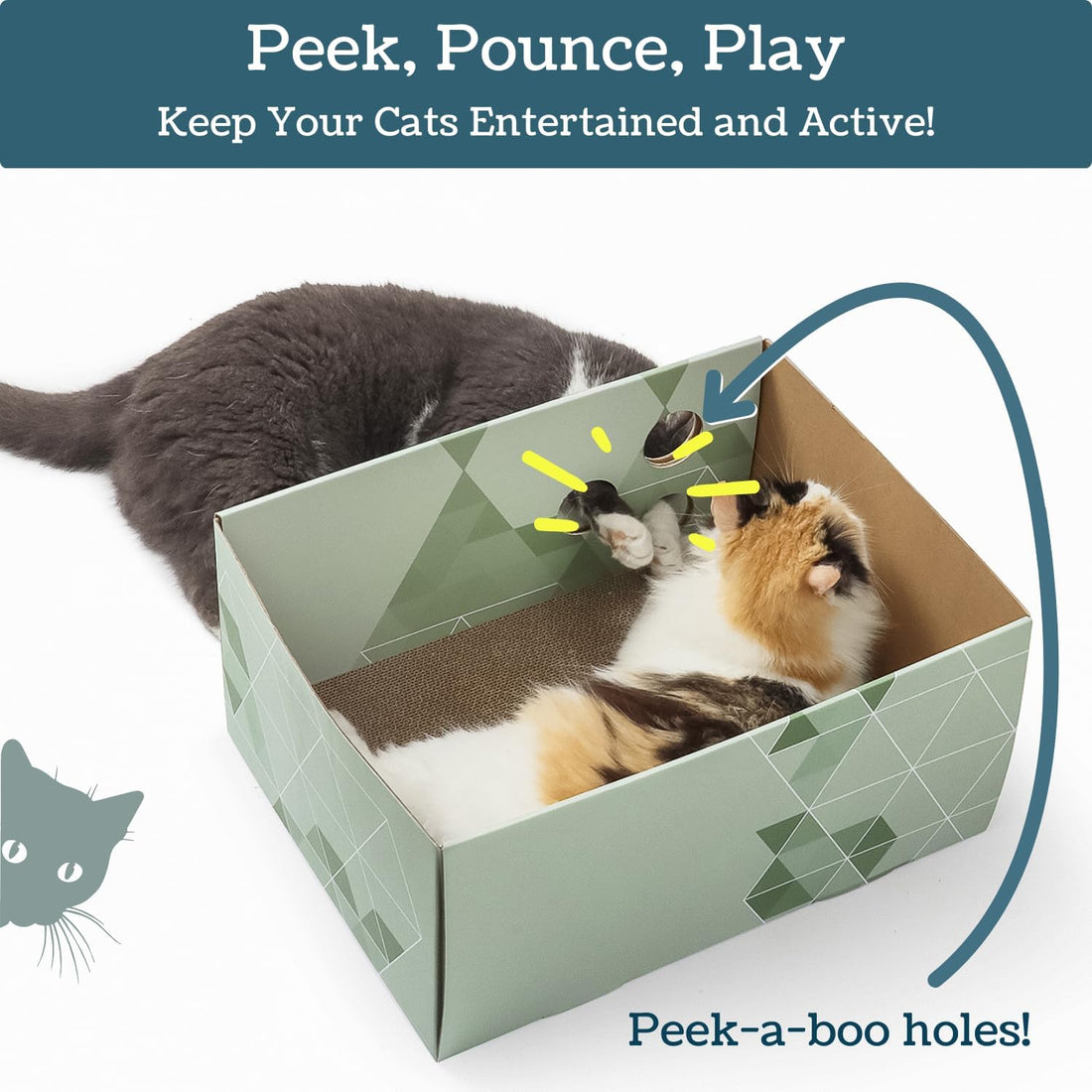 No-Mess Cardboard Cat Scratcher Box