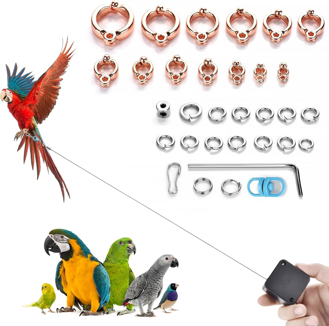Bird Leash,6.6 Ft, with 13 Different Size Foot Ring ( Gold Color)