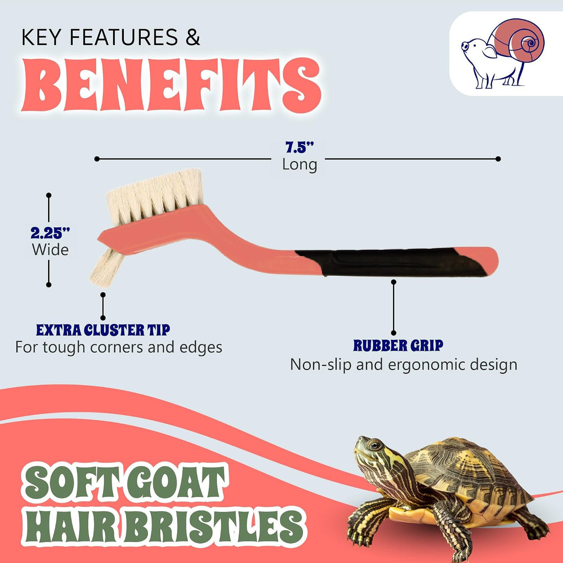Turtle Cleaning Brush Remove Aquatic Mud, Dirt