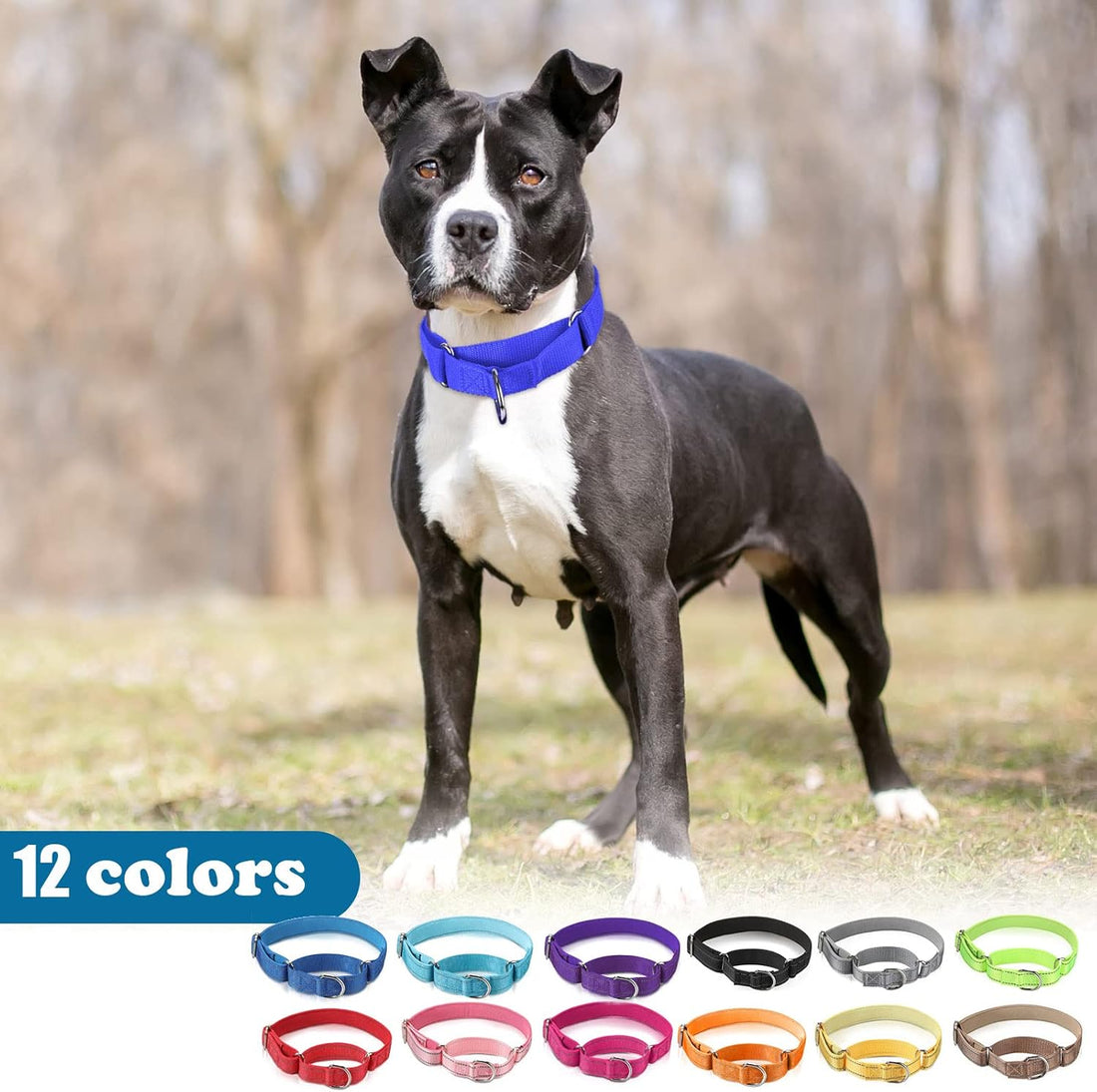 12 Pack Martingale Collar for Dogs Reflective Dog Collars