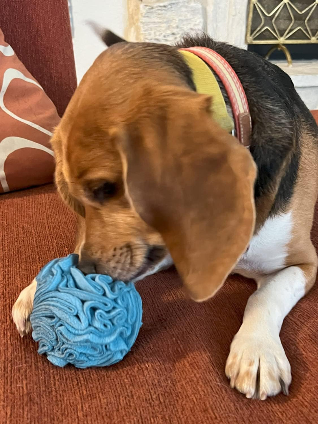 Glory To Dog Puppy and Small Breed Snuffle Interactive Foraging Dog
