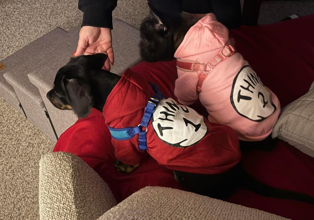Dog Hoodie Pet Clothes for Small Dogs Thing 1 Printed Hoodies Medium