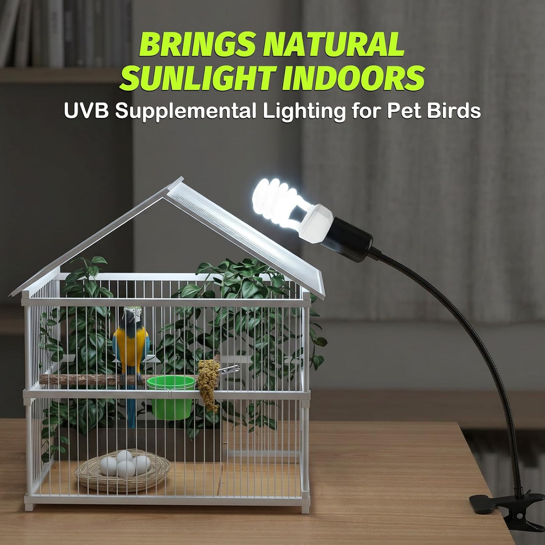 GlowUp UVB 2.4 Bird Light 23W, UVA UVB E26 Bird Cage Light for Birds