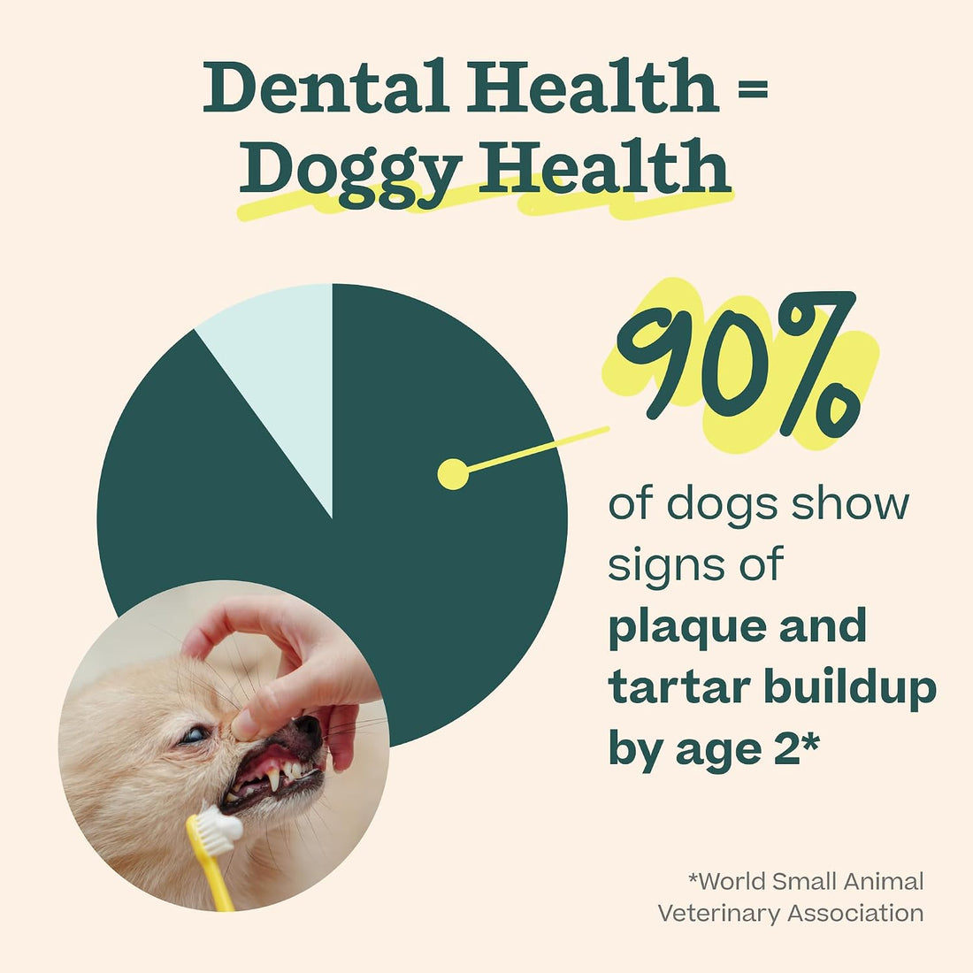 Woof Doggy Dental Pupsicle Mix