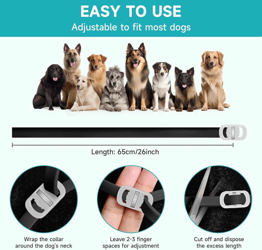Flea and Tick Prevention for Dogs, 4-Pack Flea Collars