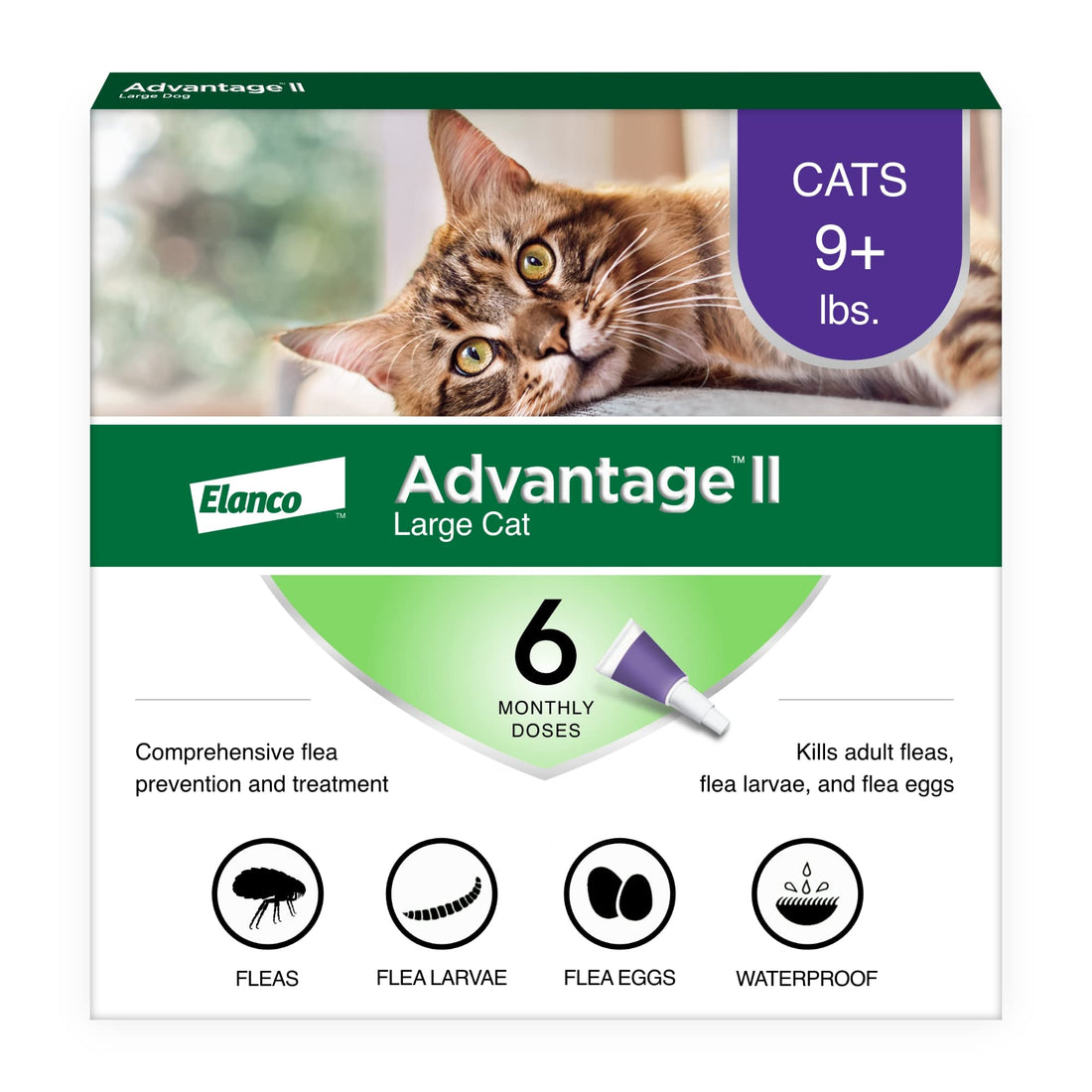 Advantage II Large Cat Vet-Recommended Flea Treatment & Prevention