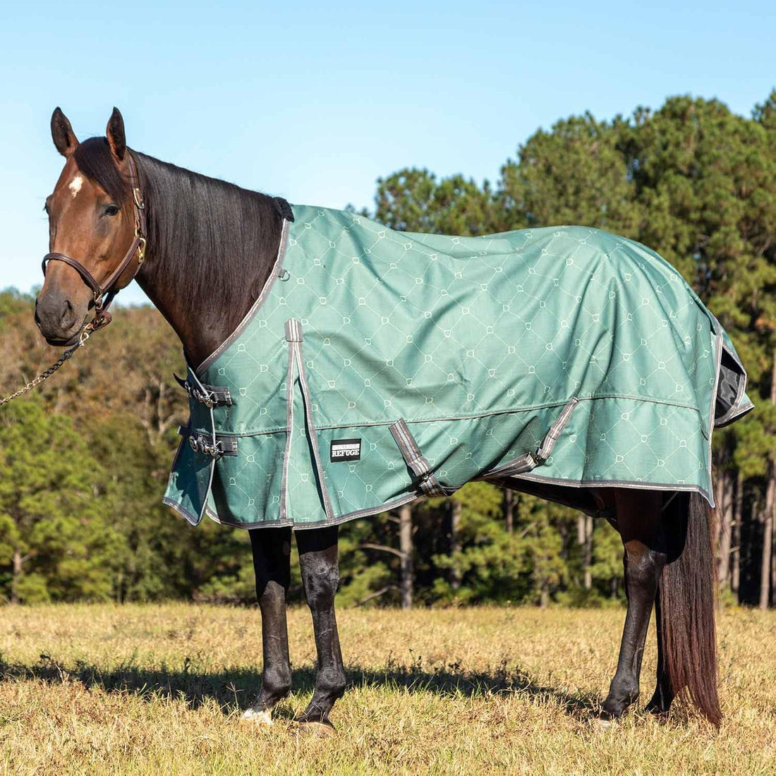 Jeffers 1200D Standard Neck Turnout Blanket, 240G, 78"