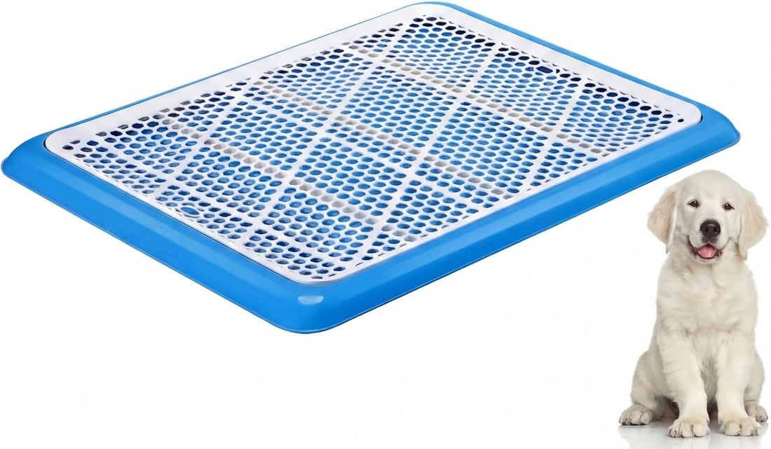 Mifoci 2 Pcs Dog Potty Tray, Mesh Puppy Training Pad