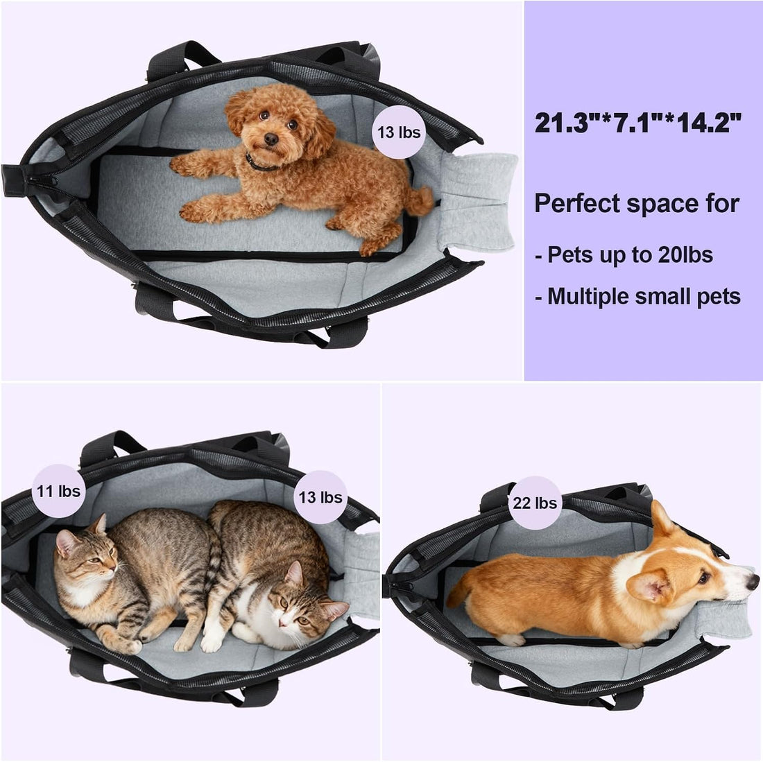 Ownpets Large Dog Purse Carrier