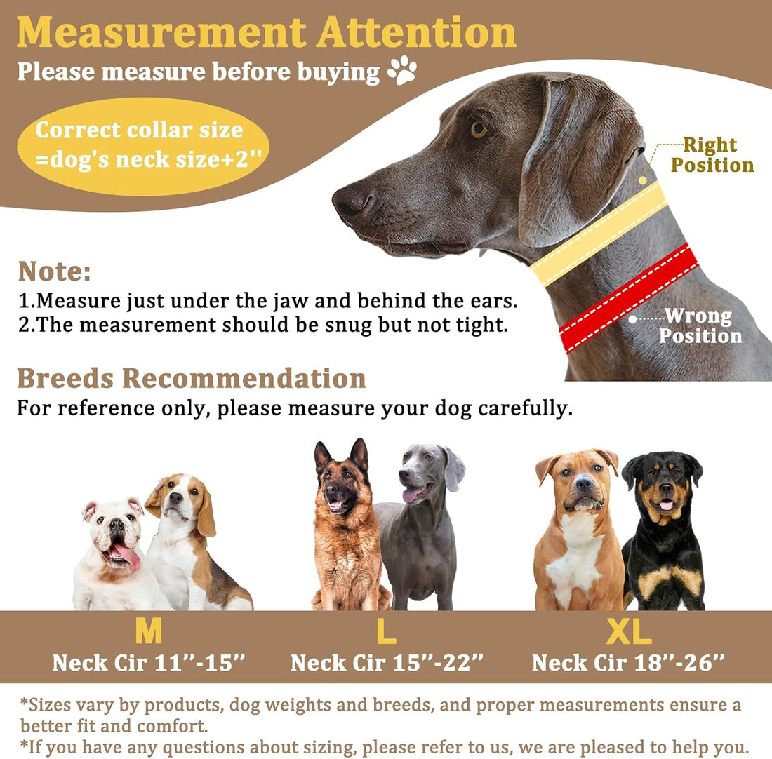 Mayerzon Martingale No Pull Dog Collar