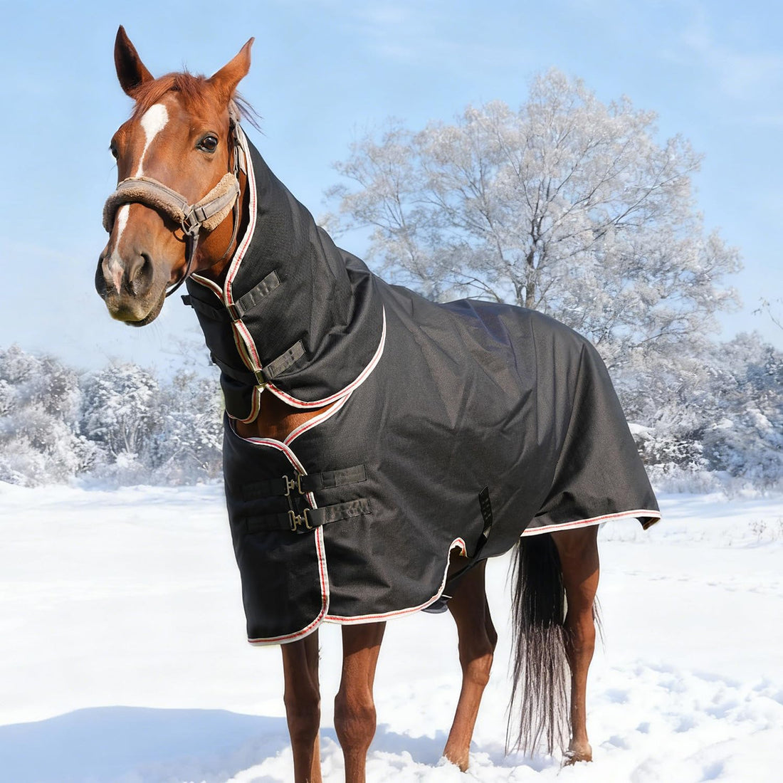 Equoray Horse Fly Sheet Waterproof Rainproof Breathable Sheet