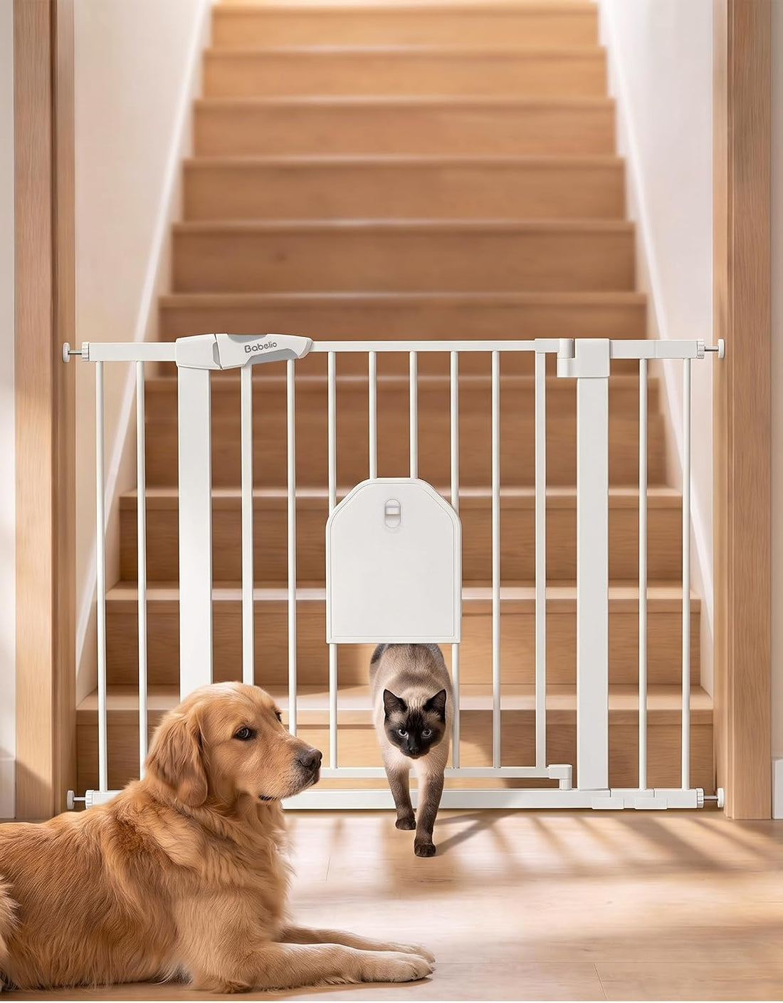 Babelio Auto Close Baby Gate with Cat Door,29-43" Metal Gate