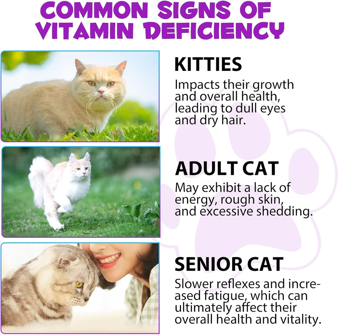 Cat Multivitamin,15 in 1 Cat Vitamins Liquid Drops Supplements