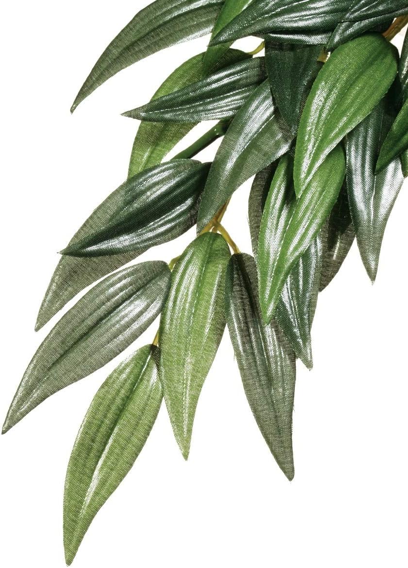 Hagen Exo Terra Plastic Terrarium Plant, Small, Amapallo