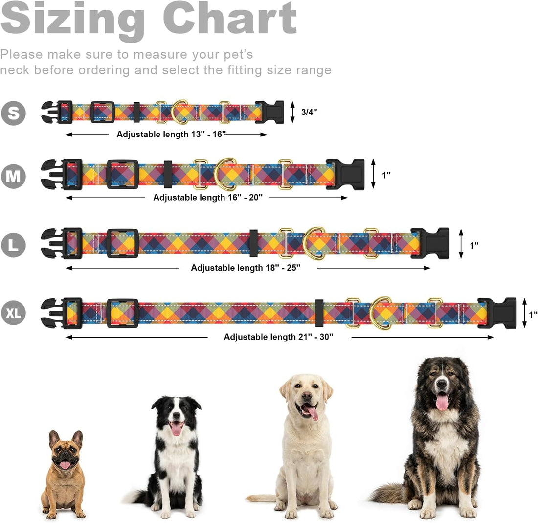Martingale Dog Collar for Large Dogs