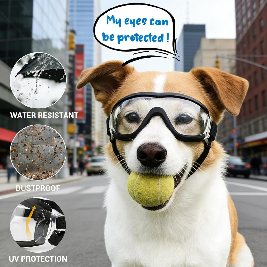 Enjoying Clear Dog Goggles Medium to Large Breed