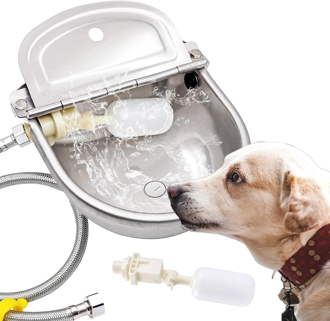 Automatic Dog Water Bowl Dispenser Large Pet Waterer Feeder