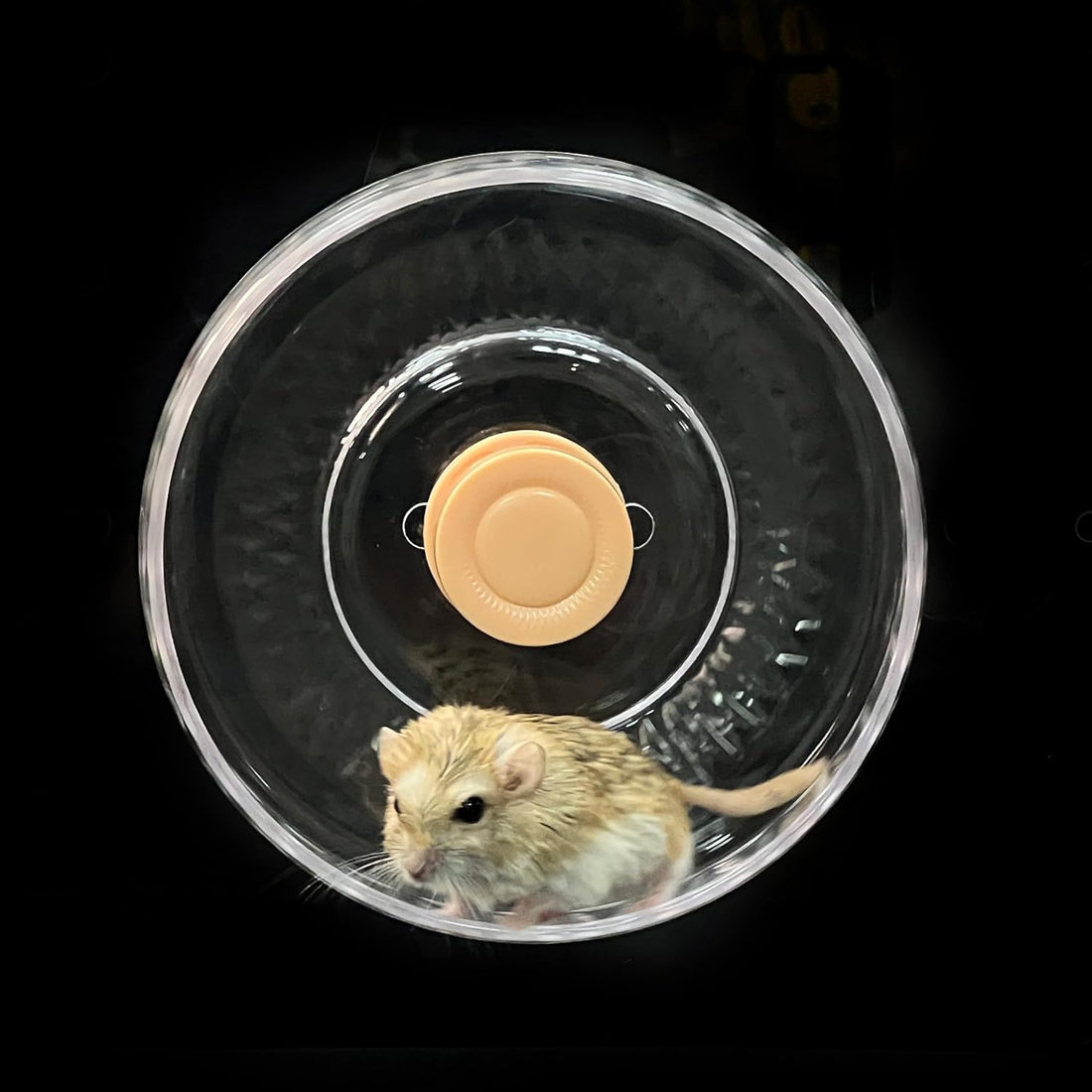 GuineaLoft™ Silent Hamster Wheel - 7.1" for Hamsters