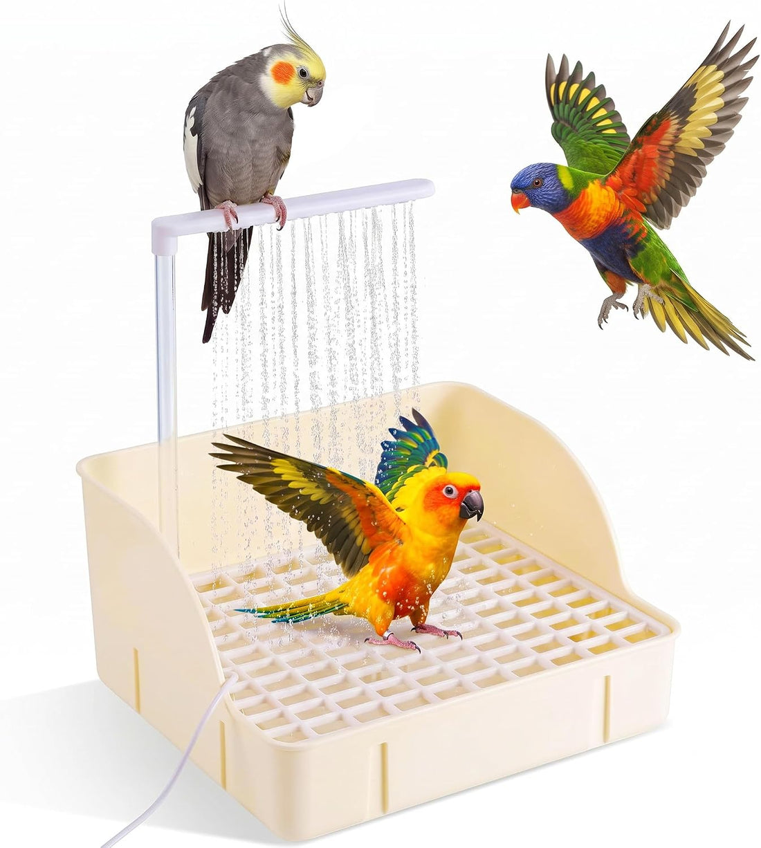 Pacify Automatic Bird Bath Large Bird Shower