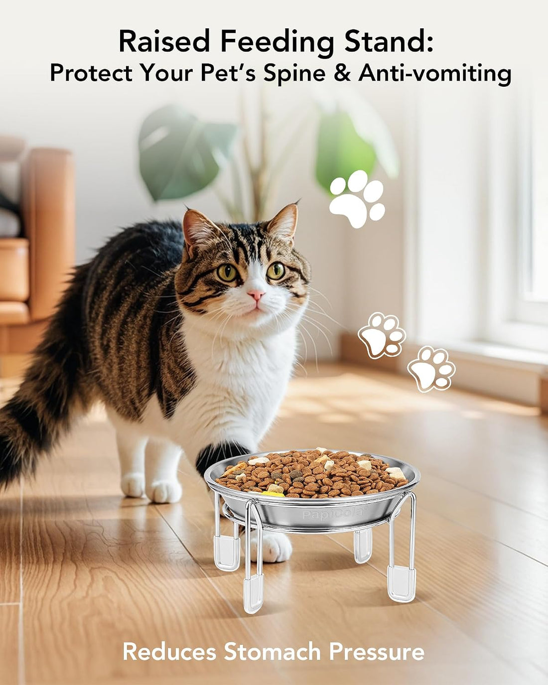 Elevated cat Bowl 2PC, 6.3" Wide Raised Cat Bowl