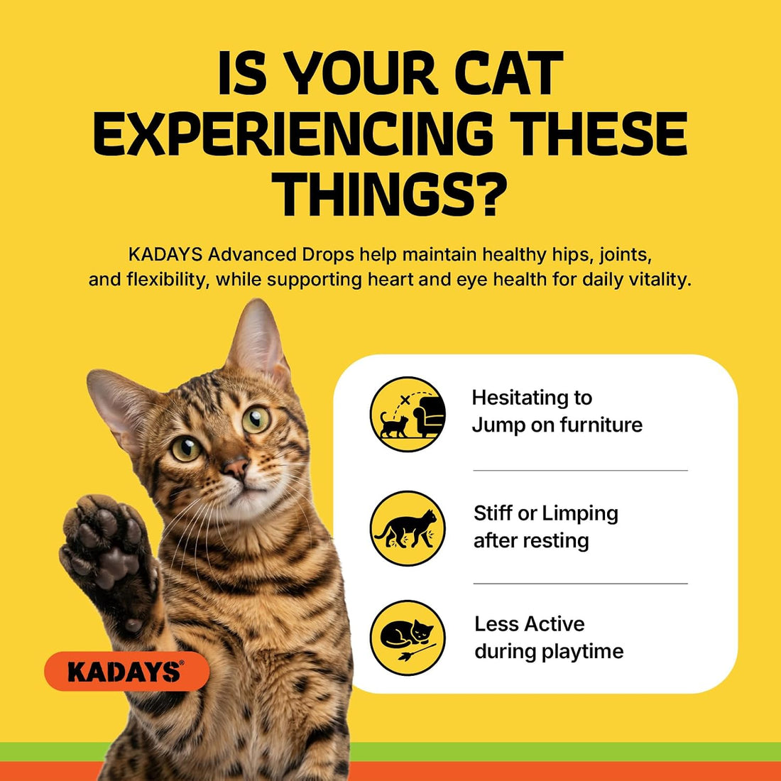 Liquid Glucosamine for Cats 2-Pack